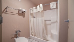 Guestroom Shower